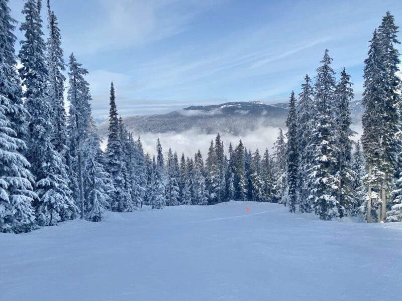 Revelstoke, British Columbia, Canada. Image © PlanetSKI